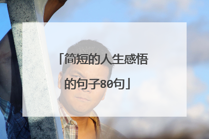 简短的人生感悟的句子80句