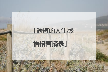 简短的人生感悟格言摘录