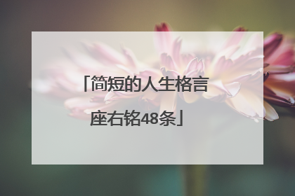 简短的人生格言座右铭48条