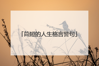 简短的人生格言警句