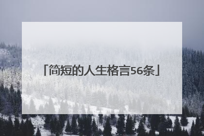 简短的人生格言56条