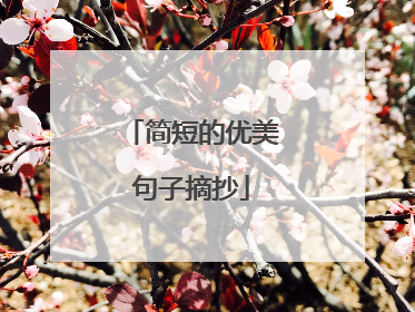 简短的优美句子摘抄