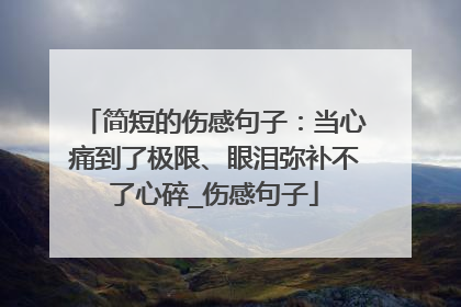 简短的伤感句子:当心痛到了极限、眼泪弥补不了心碎_伤感句子