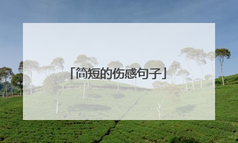 简短的伤感句子