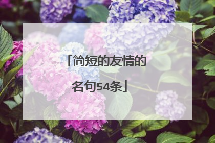 简短的友情的名句54条