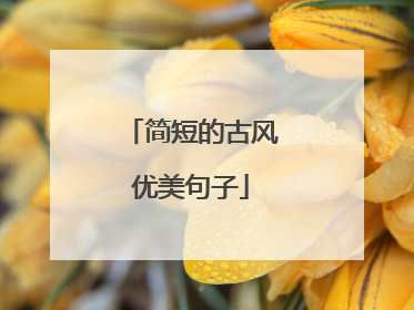 简短的古风优美句子