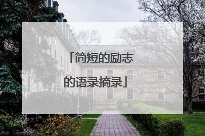 简短的励志的语录摘录