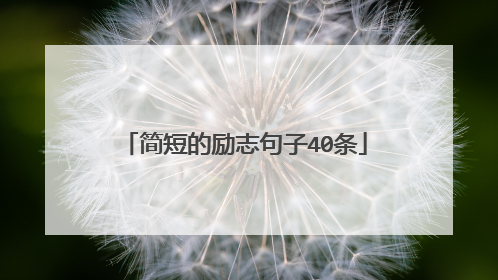 简短的励志句子40条