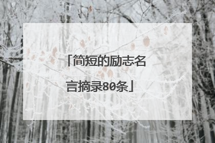 简短的励志名言摘录80条