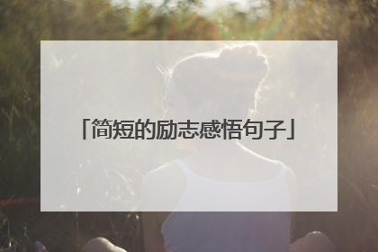 简短的励志感悟句子