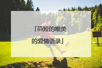 简短的唯美的爱情语录