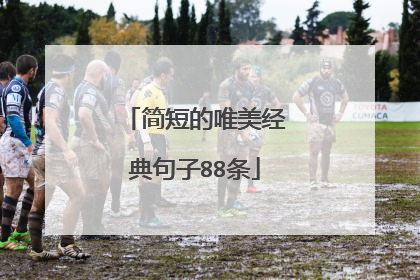 简短的唯美经典句子88条