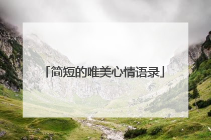 简短的唯美心情语录