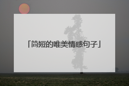 简短的唯美情感句子