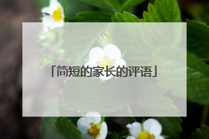 简短的家长的评语