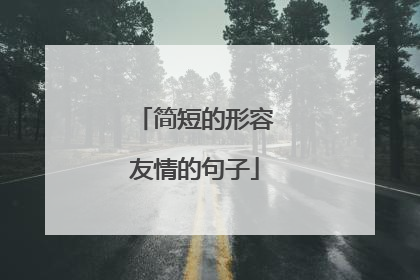 简短的形容友情的句子