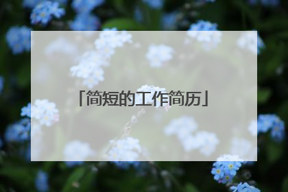 简短的工作简历
