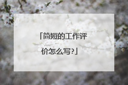 简短的工作评价怎么写?