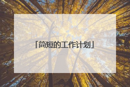 简短的工作计划