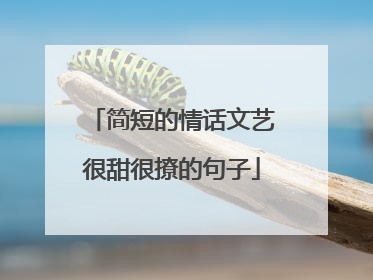 简短的情话文艺很甜很撩的句子