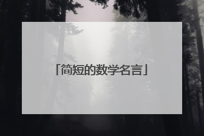简短的数学名言
