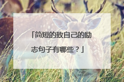 简短的致自己的励志句子有哪些?