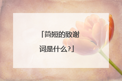 简短的致谢词是什么?