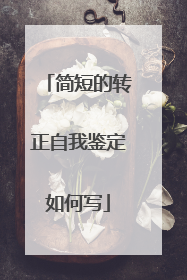 简短的转正自我鉴定如何写