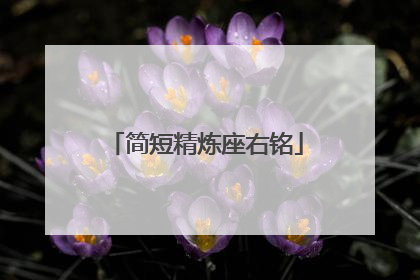 简短精炼座右铭