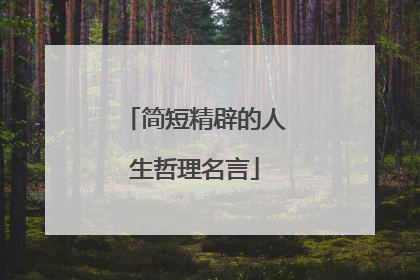 简短精辟的人生哲理名言