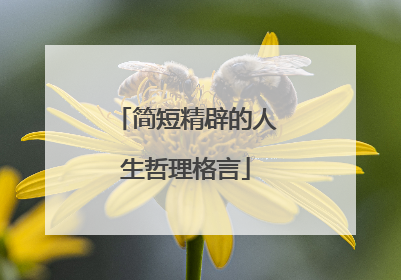 简短精辟的人生哲理格言