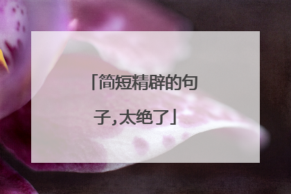 简短精辟的句子,太绝了