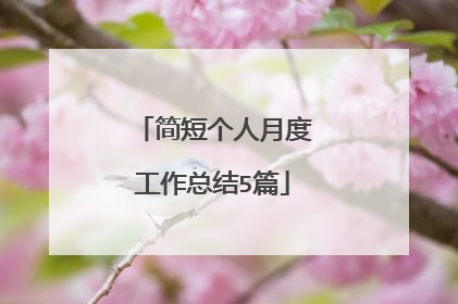 简短个人月度工作总结5篇