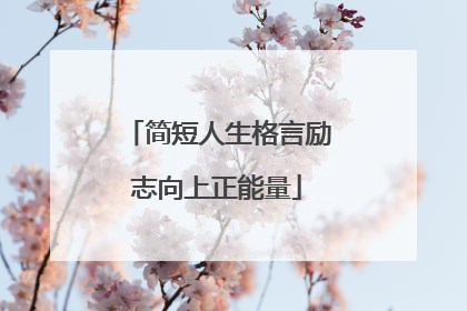 简短人生格言励志向上正能量