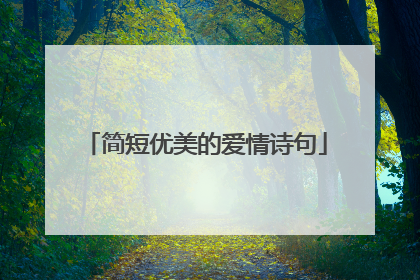 简短优美的爱情诗句