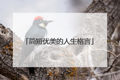 简短优美的人生格言