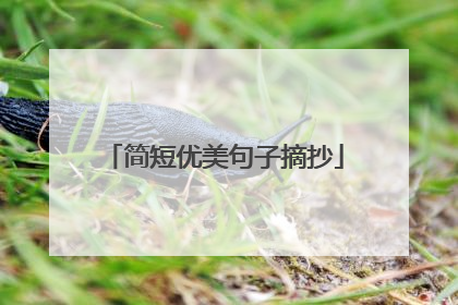 简短优美句子摘抄