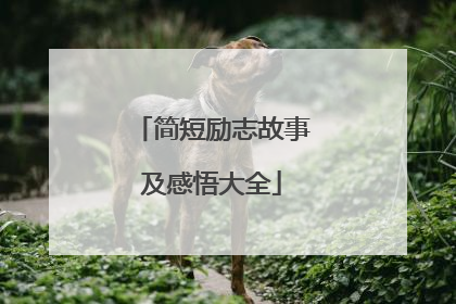 简短励志故事及感悟大全