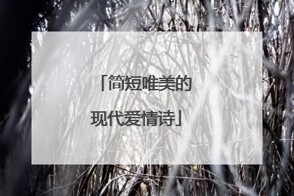 简短唯美的现代爱情诗