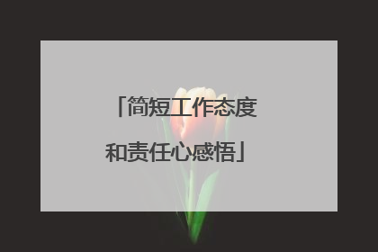 简短工作态度和责任心感悟