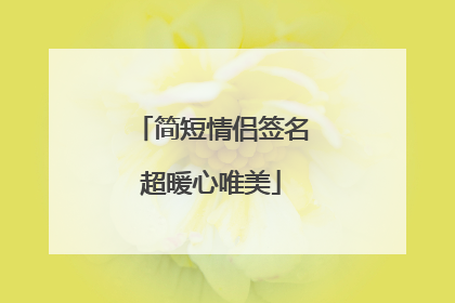 简短情侣签名超暖心唯美