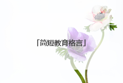 简短教育格言