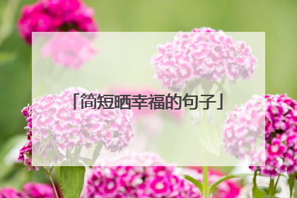简短晒幸福的句子