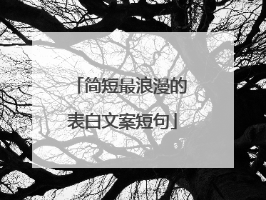 简短最浪漫的表白文案短句
