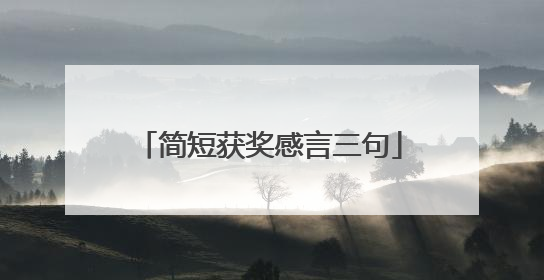 简短获奖感言三句