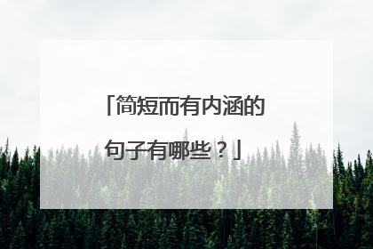 简短而有内涵的句子有哪些？