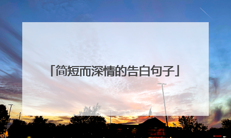 简短而深情的告白句子