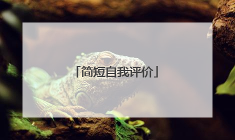 简短自我评价