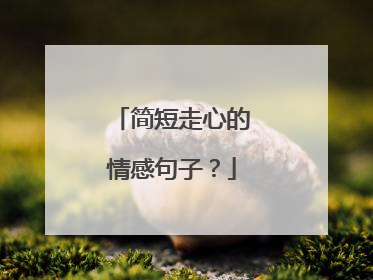简短走心的情感句子？