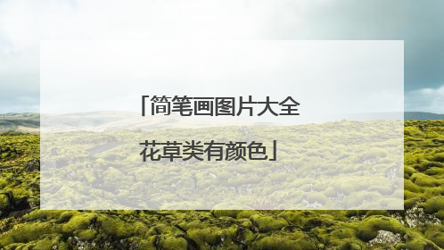 简笔画图片大全花草类有颜色